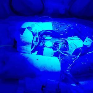 Meet your Posher, Sandy